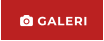  GALERI