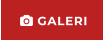  GALERI