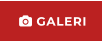  GALERI