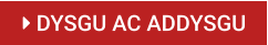  DYSGU AC ADDYSGU