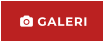  GALERI