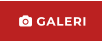  GALERI