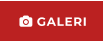  GALERI