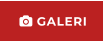  GALERI