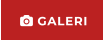  GALERI