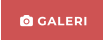  GALERI