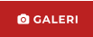  GALERI