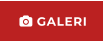  GALERI